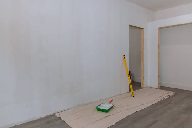 Best Drywall Removal and Disposal  in Abram, TX