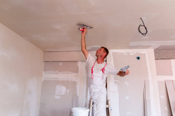 Best Residential Drywall Installation  in Abram, TX